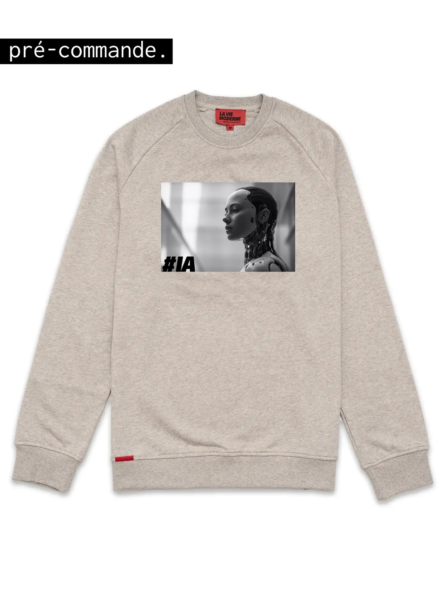 Sweat IA - Gris chiné -f