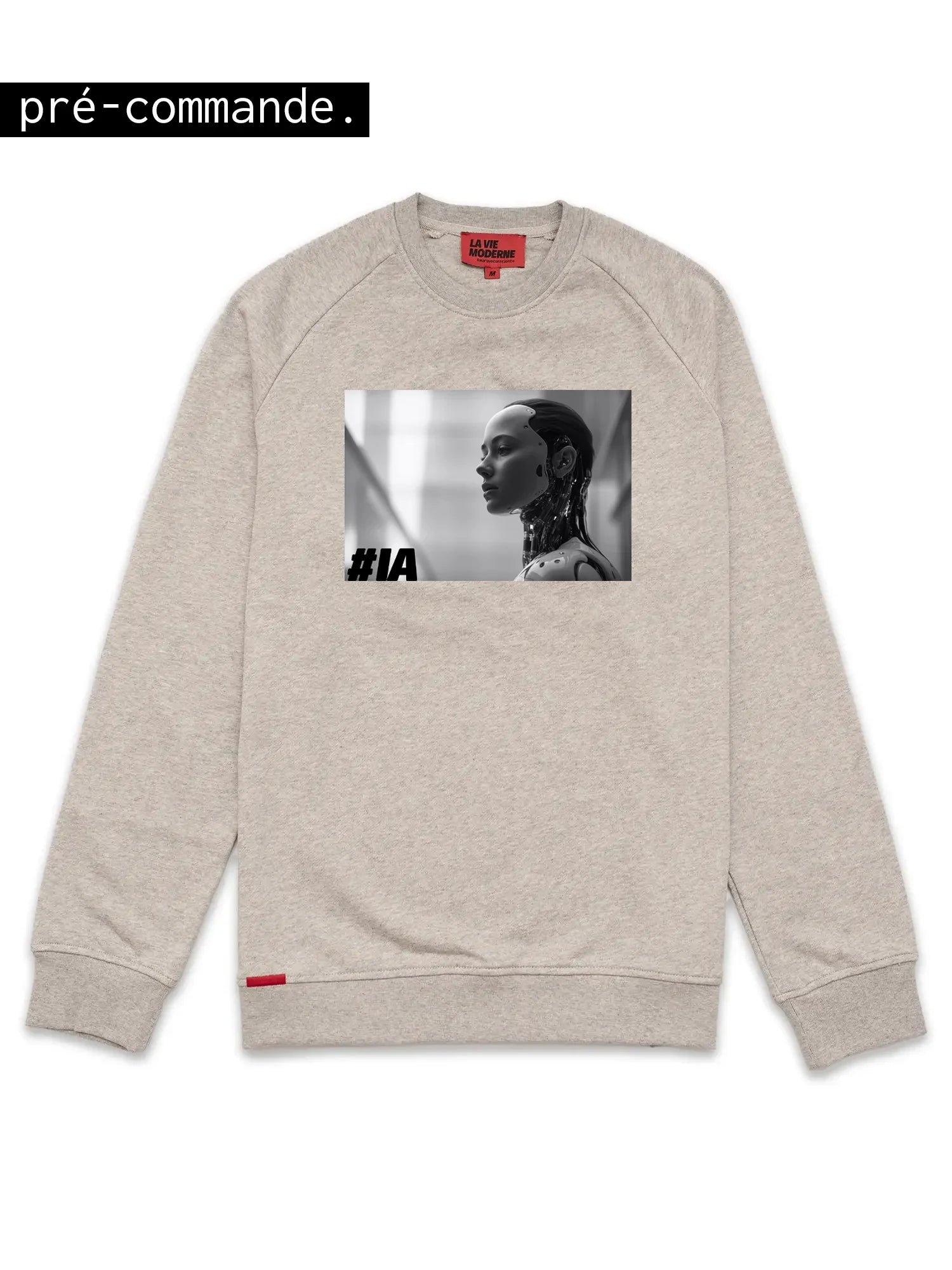Sweat IA - Gris chiné -f